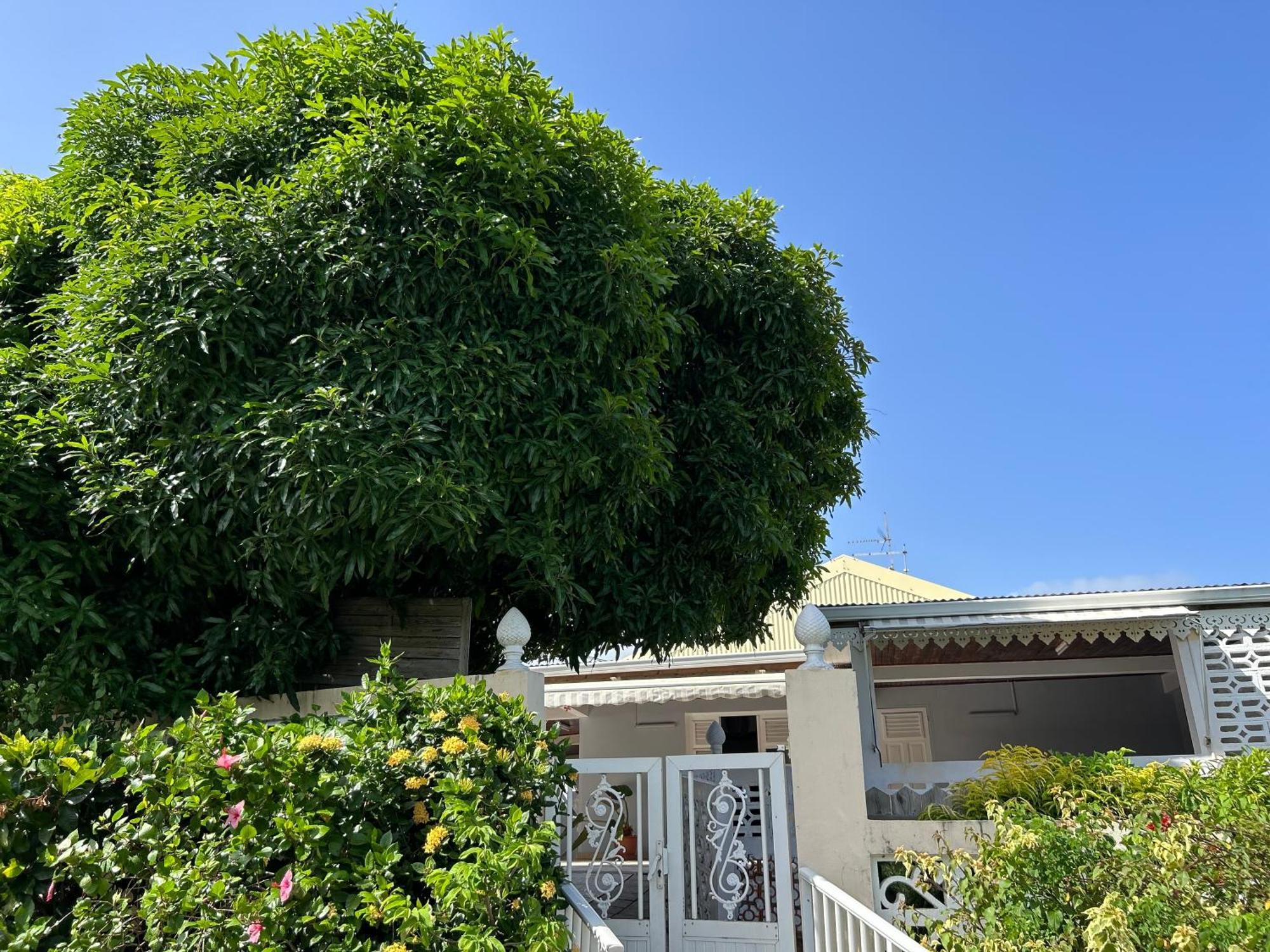 Villa A Louer A Sainte-Anne En Martinique Exterior foto